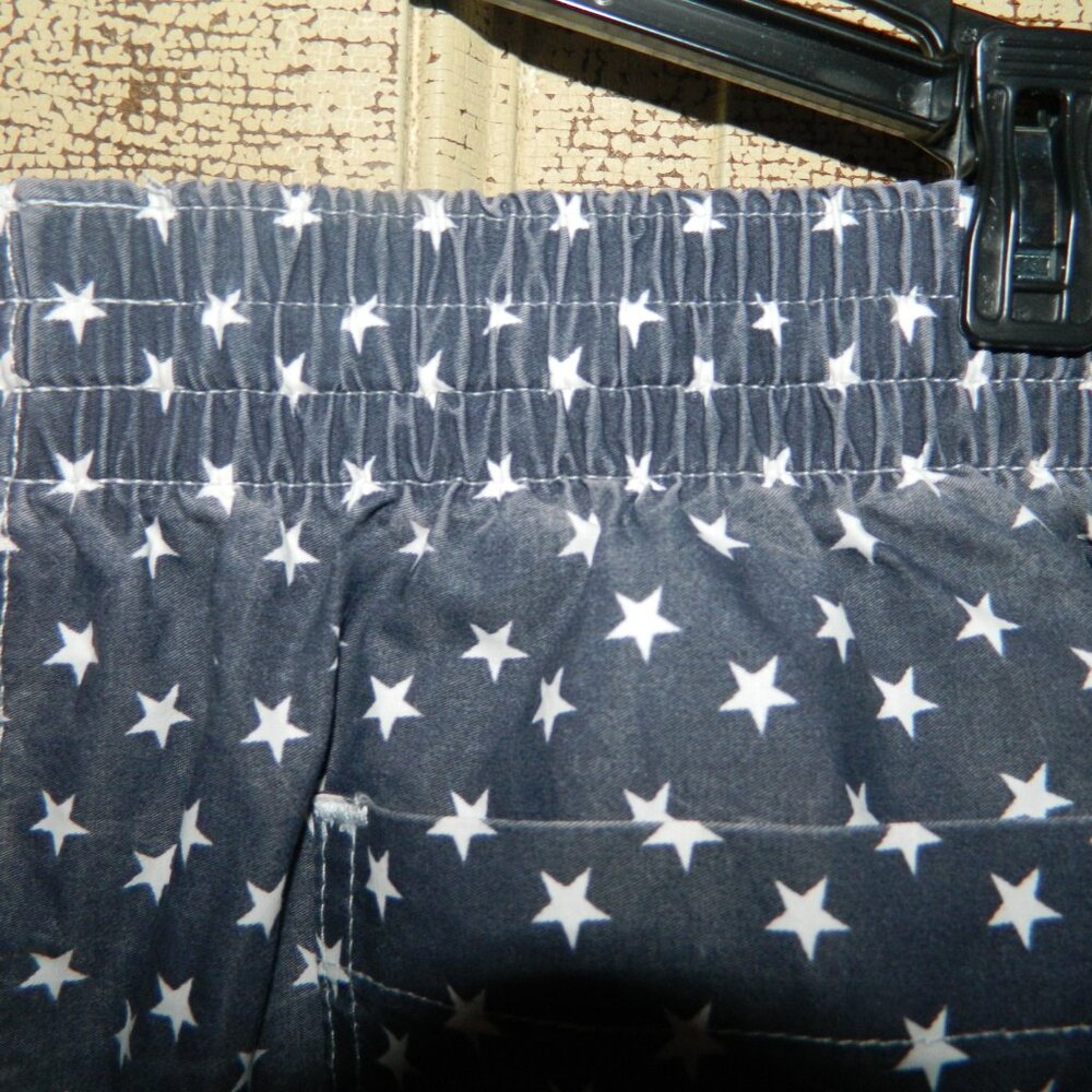 Chubbies American Flag Swim Trunks USA 5.5" Inseam Size L (V-41) - Picture 4 of 7